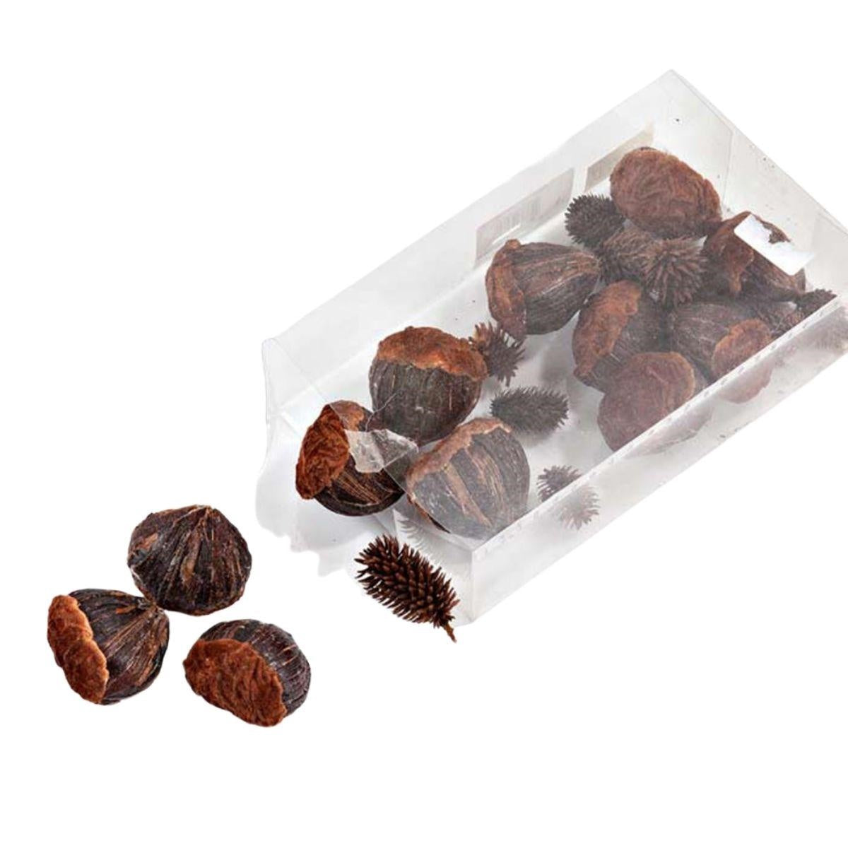 Decorazione castagne in confezione da 12